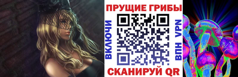 Купить где  Любим  Псилоцибиновые грибы Cubensis 